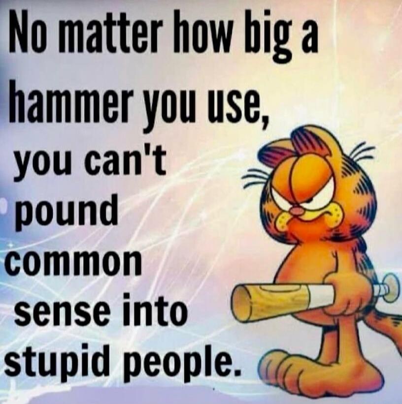No matter how big a hammer you use, you can't pound common sense into stupid people.