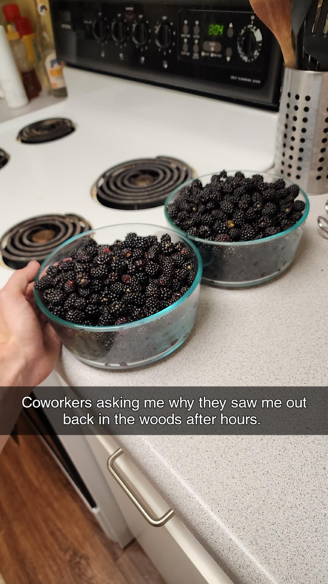 Coworkers asking me why they saw me out back in the woods after hours