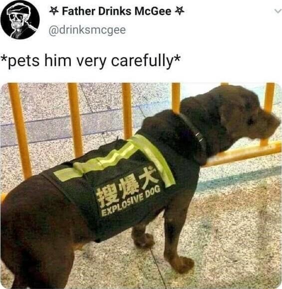 Father Drinks McGee drinksmcgee pets him very carefully