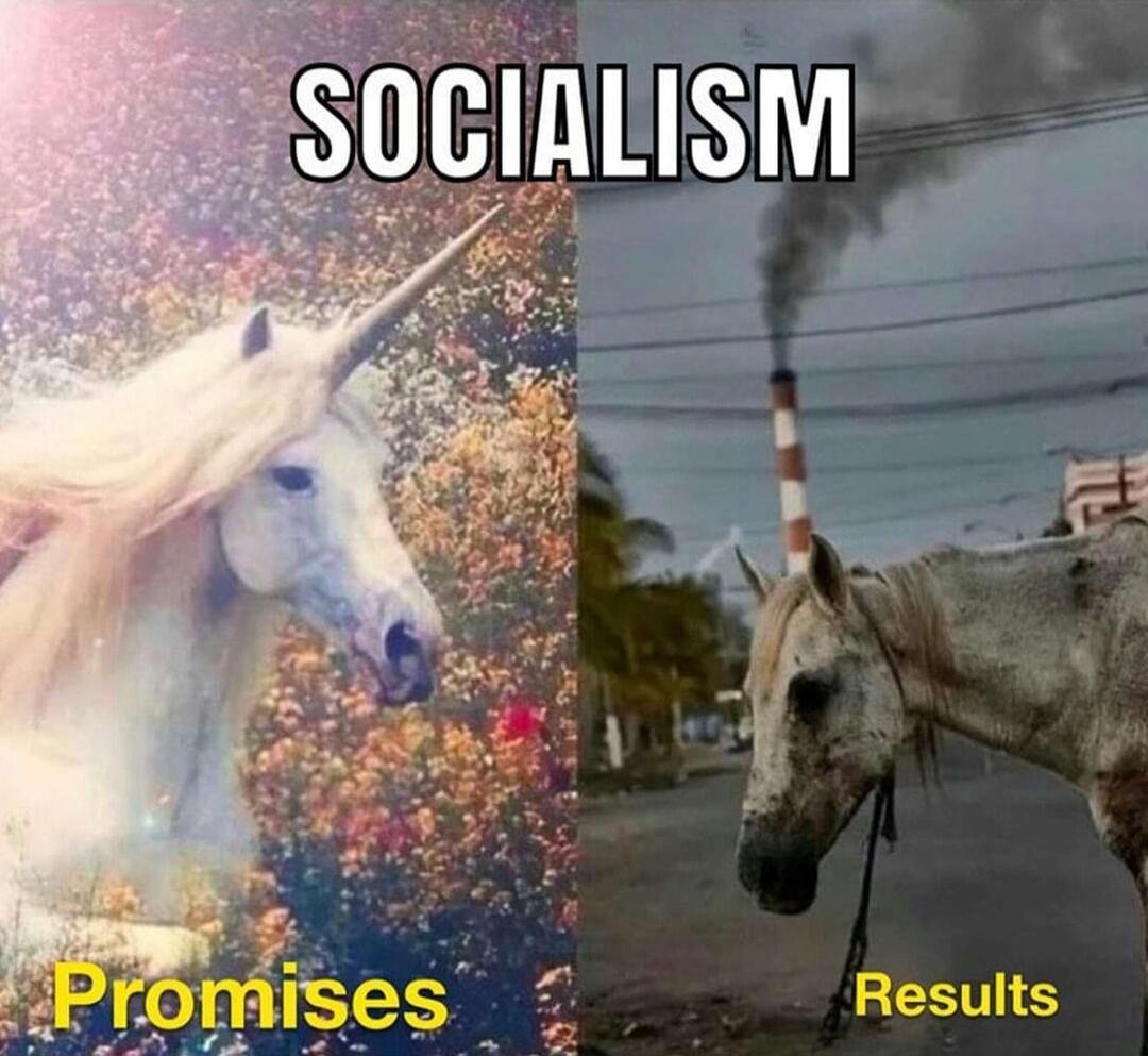 SOCIALISM Promises Results