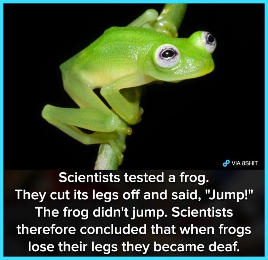 ViABSHIT Scientists tested a frog They cut its legs off and said Jump The frog didnt jump Scientists therefore concluded that when frogs lose their legs they became deaf