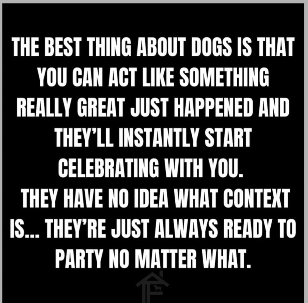 THE BEST THING ABOUT DOGS IS THAT YOU CAN ACT LIKE SOMETHING REALLY GREAT JUST HAPPENED AND THEY'LL INSTANTLY START CELEBRATING WITH YOU. THEY HAVE NO IDEA WHAT CONTEXT IS... THEY'RE JUST ALWAYS READY TO PARTY NO MATTER WHAT.