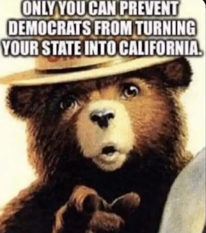 ONLY YOU CAN PREVENT DEMOCRATS FROM TURNING YOUR STATE INTO CALIFORNIA.