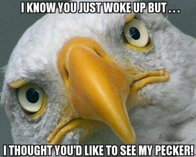 I KNOW YOU JUST WOKE UP BUT... I THOUGHT YOU'D LIKE TO SEE MY PECKER!