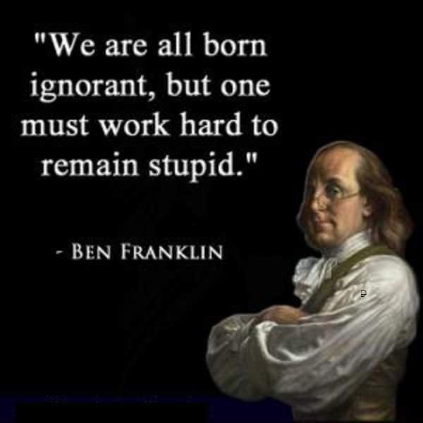 We are all born ignorant but one must work hard to remain stupid BEN FRANKLIN