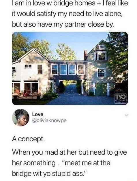 lam In love w bridge homes feel like it would satisfy my need to live alone but also have my partner close by Love oliviaknowpe A concept When you mad at her but need to give her something meet me at the bridge wit yo stupid ass