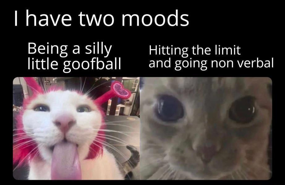 have two moods Being a silly Hitting the limit little goofball and going non verbal