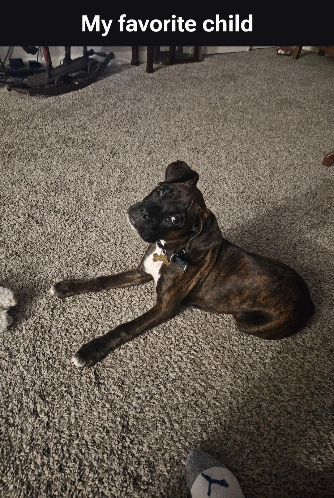 My favorite child