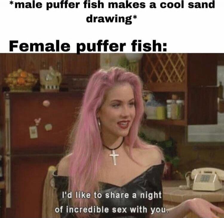 *male puffer fish makes a cool sand drawing*
Female puffer fish:
I'd like to share a night of incredible sex with you.