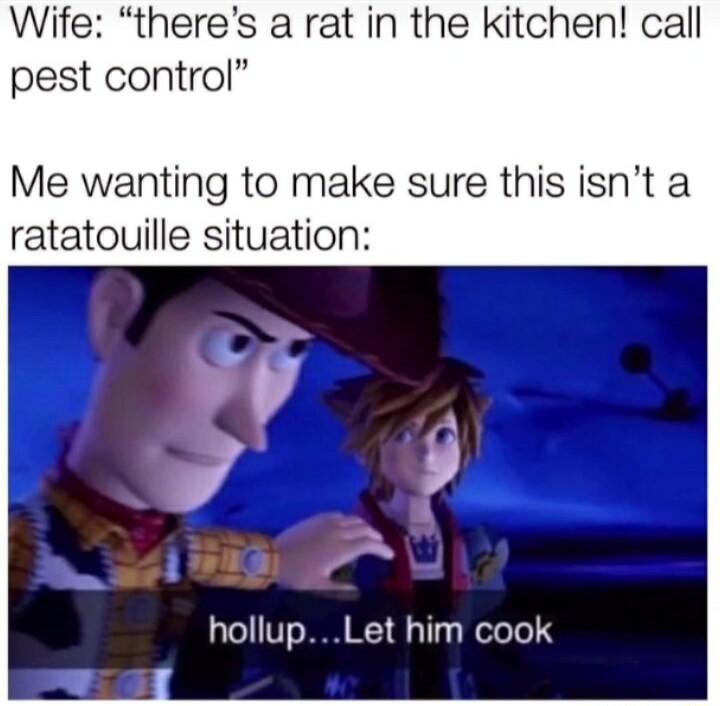 Wife theres a rat in the kitchen call pest control Me wanting to make sure this isnt a ratatouille situation LaTe Vo0 1 1Ty e Tel 4