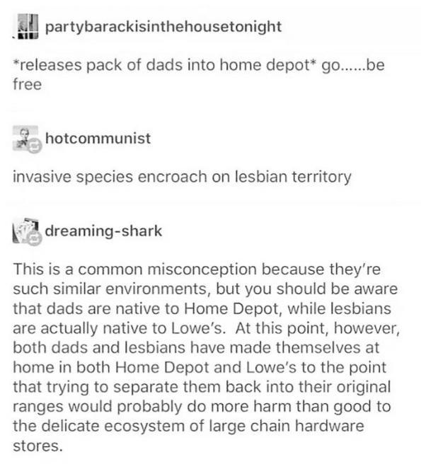 partybarackisinthehousetonight releases pack of dads into home depot gobe free 3_ hotcommunist invasive species encroach on lesbian territory 3 dreaming shark This is a common misconception because theyre such similar environments but you should be aware that dads are native to Home Depot while lesbians are actually native to Lowes At this point however both dads and lesbians have made themselves 