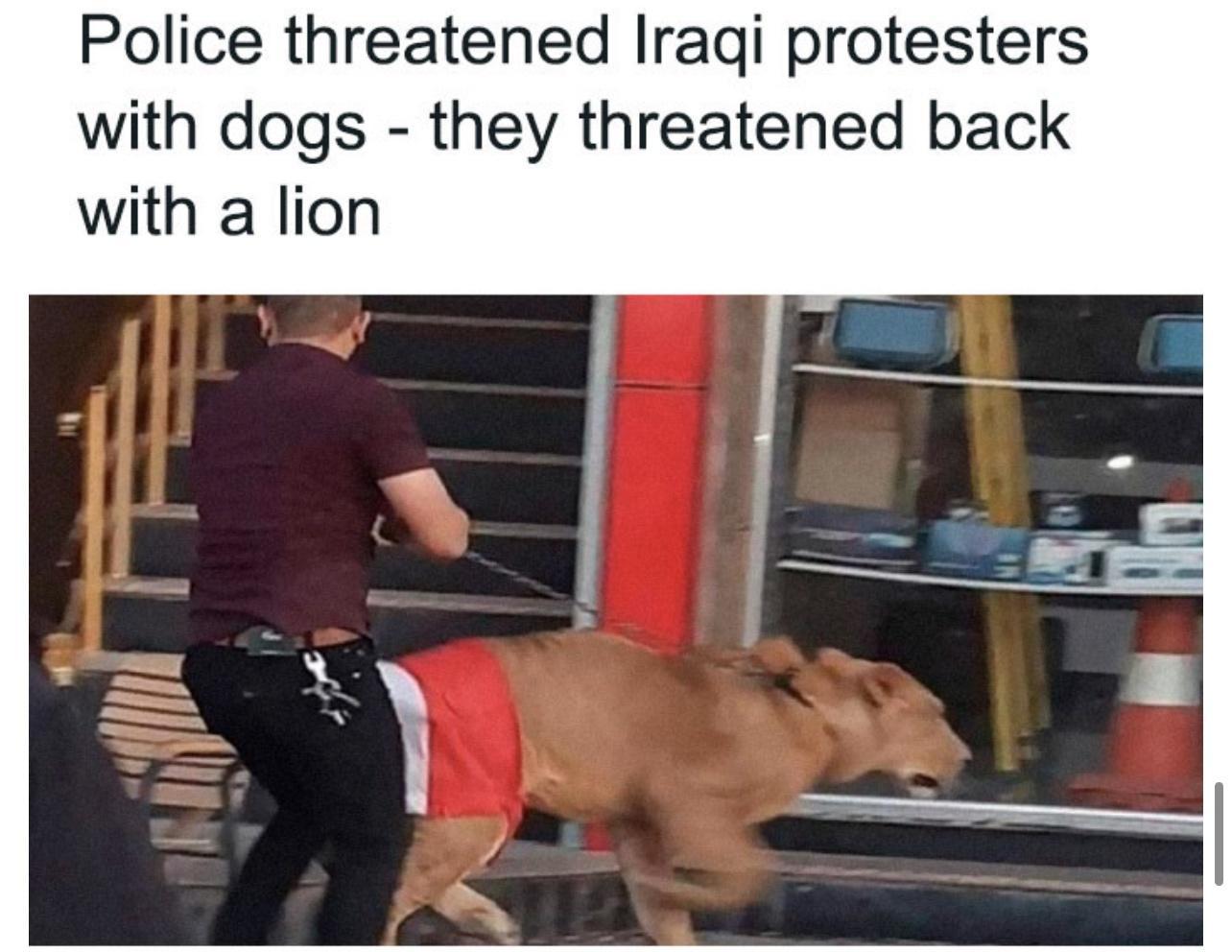 Police threatened Iraqi protesters with dogs they threatened back with a lion