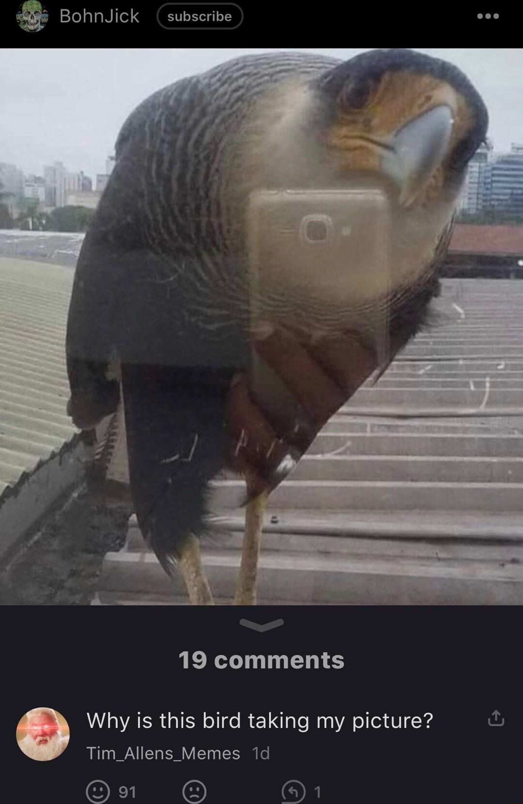 5 BohnJick subscribe 19 comments AVIDAER GIEN oTide RETSaTe Mg Ve V 4 Tim_Allens_Memes 1d ovn l or