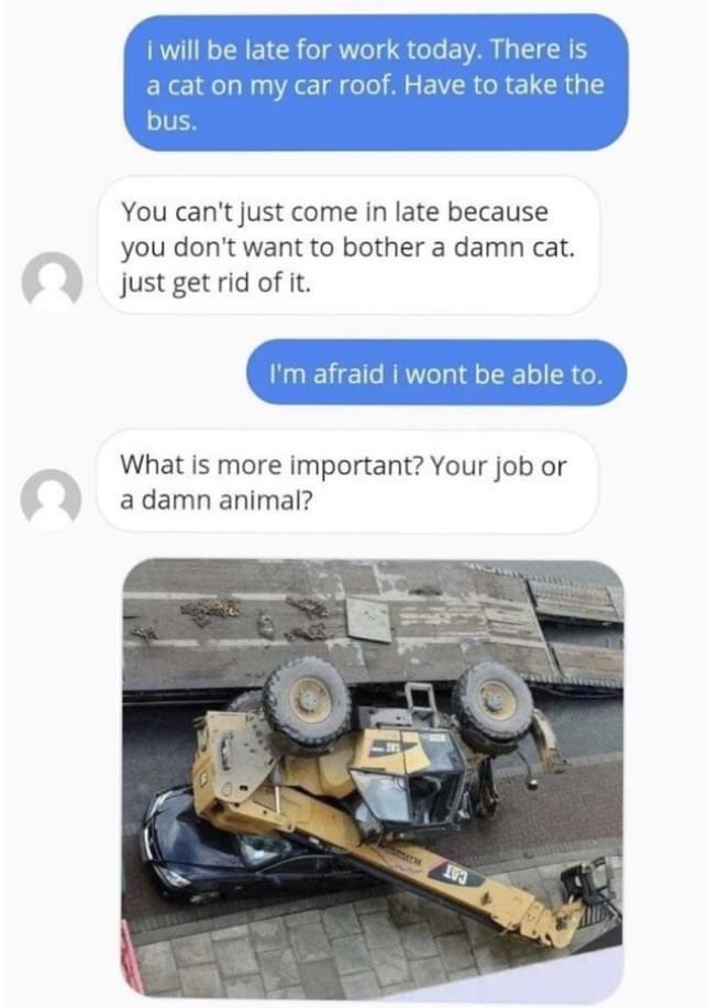 You cant just come in late because you dont want to bother a damn cat Jjust getrid of it What is more important Your job or adamn animal