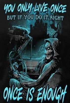 YOU ONLY LIVE ONCE BUT IF YOU DO IT RIGHT ONCE IS ENOUGH