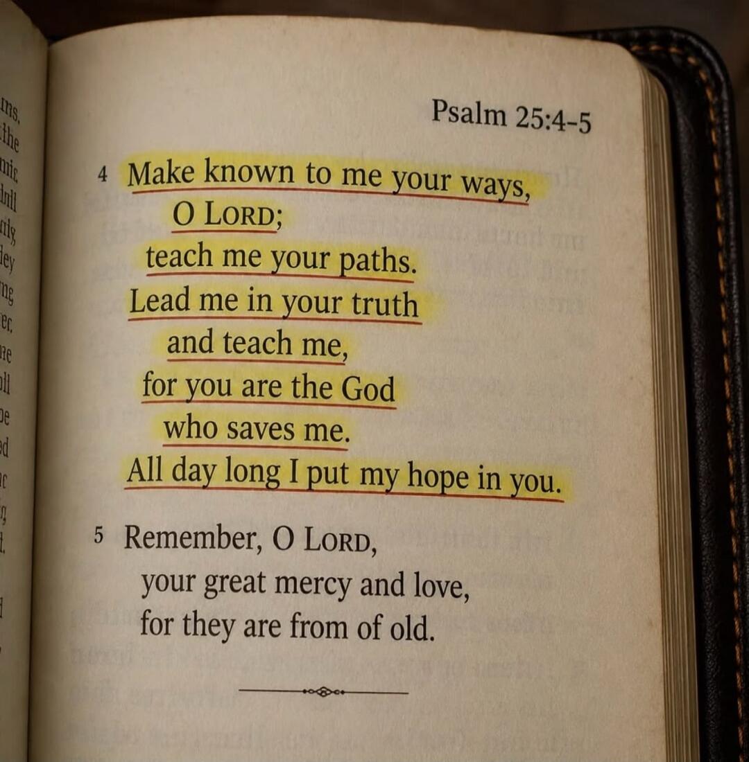 Psalm 25:4-5
4 Make known to me your ways, O LORD; teach me your paths. Lead me in your truth and teach me, for you are the God who saves me. All day long I put my hope in you.
5 Remember, O LORD, your great mercy and love, for they are from of old.