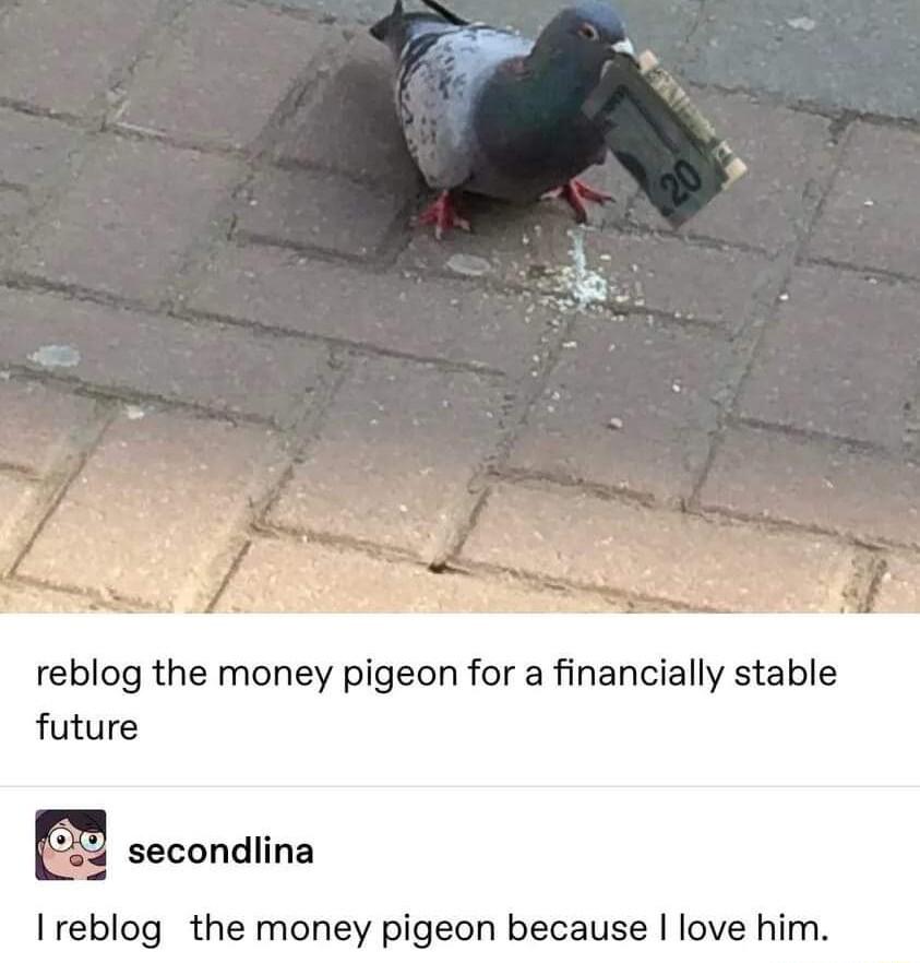 reblog the money pigeon for a financially stable future secondlina I reblog the money pigeon because love him