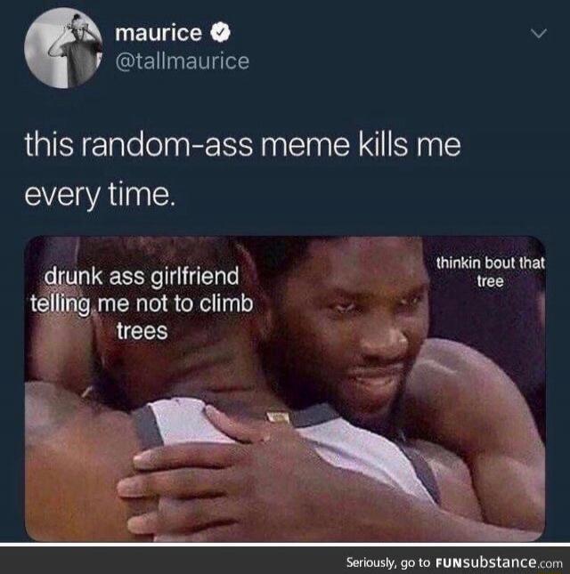 this random-ass meme kills me every time.
drunk ass girlfriend telling me not to climb trees
thinkin bout that tree
Seriously, go to FUNsubstance.com