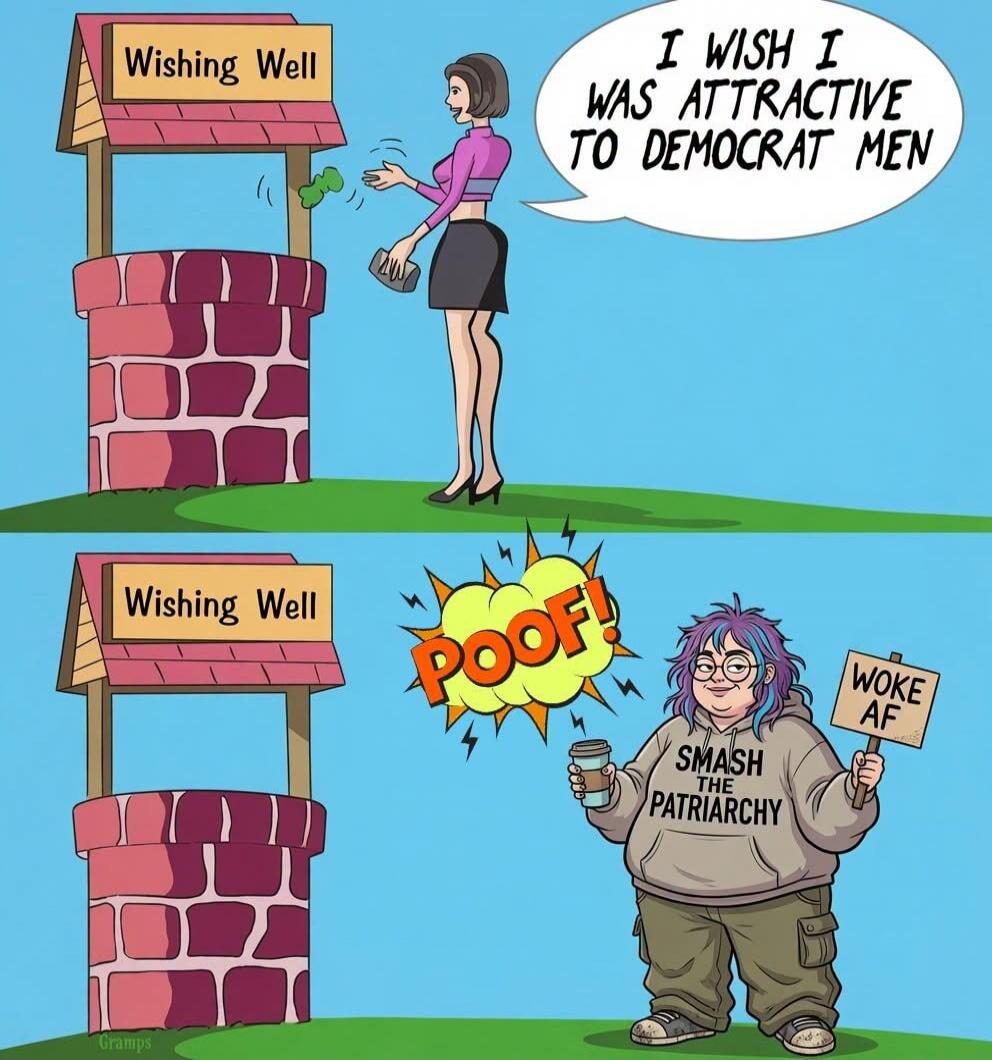 Wishing Well. I WISH I WAS ATTRACTIVE TO DEMOCRAT MEN. POOF! SMASH THE PATRIARCHY. WOKE AF.