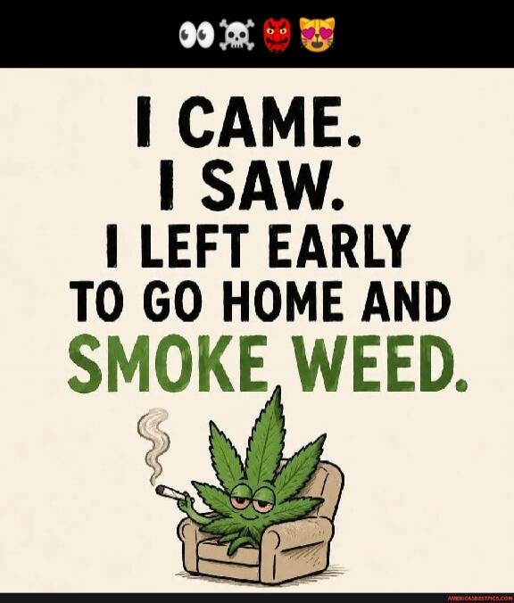 I CAME. I SAW. I LEFT EARLY TO GO HOME AND SMOKE WEED.