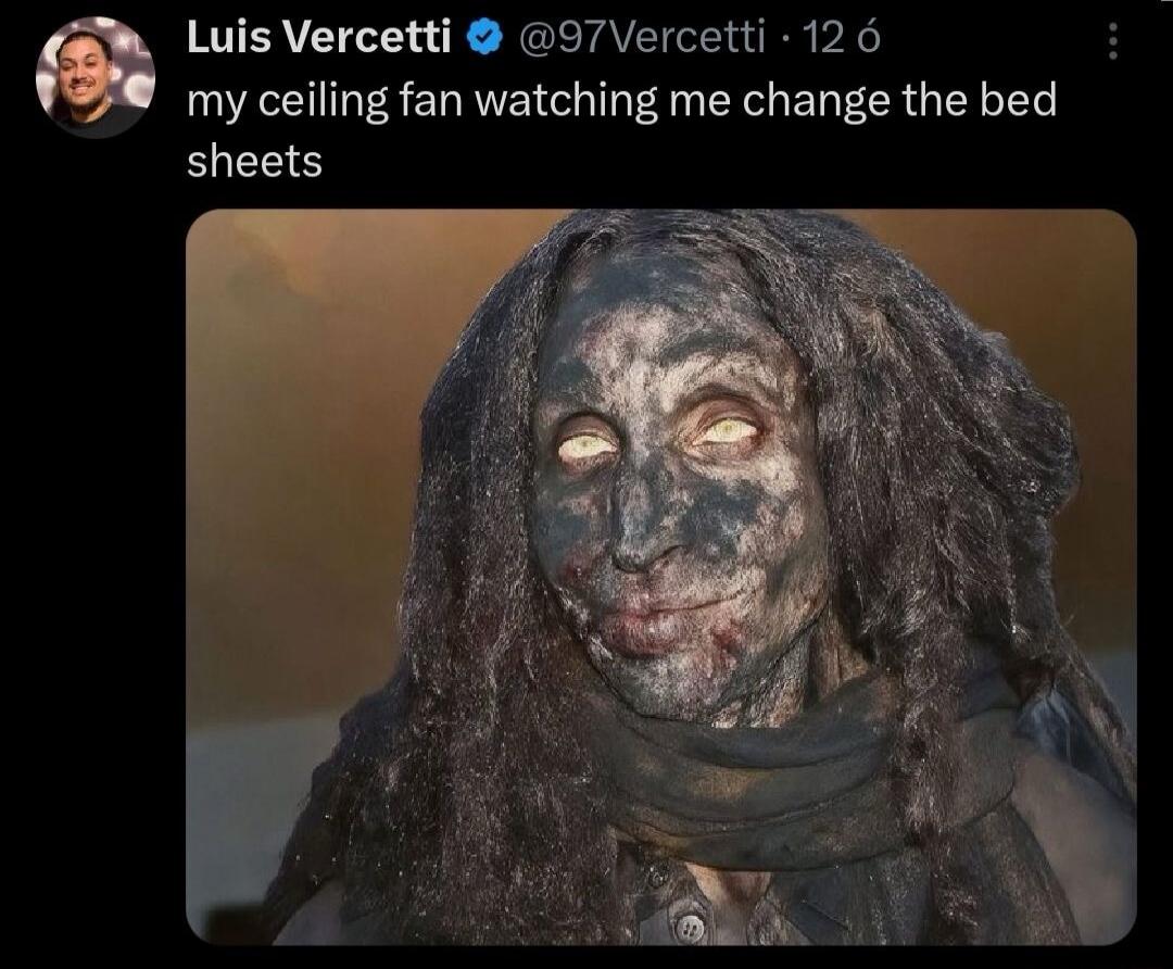 my ceiling fan watching me change the bed sheets