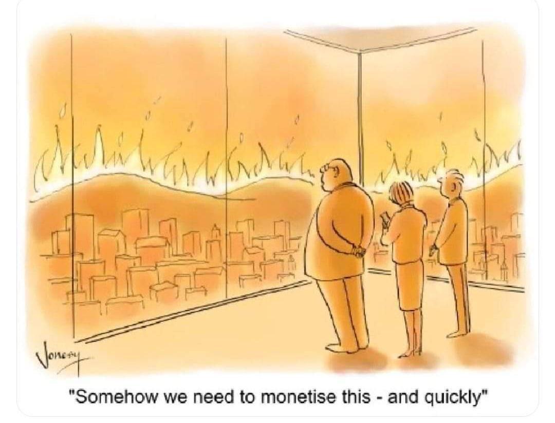 Somehow we need to monetise this and quickly