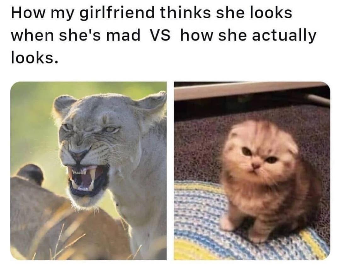 How my girlfriend thinks she looks when shes mad VS how she actually looks