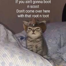 It you aint gonna boot n scoot Dont come over here with that root n toot