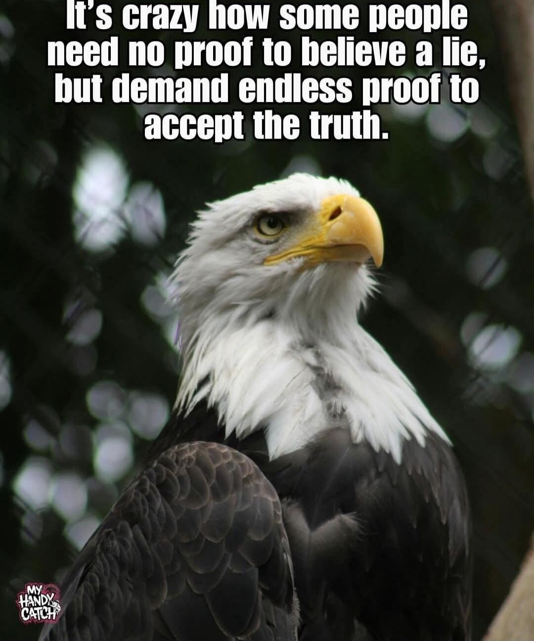 It's crazy how some people need no proof to believe a lie, but demand endless proof to accept the truth.