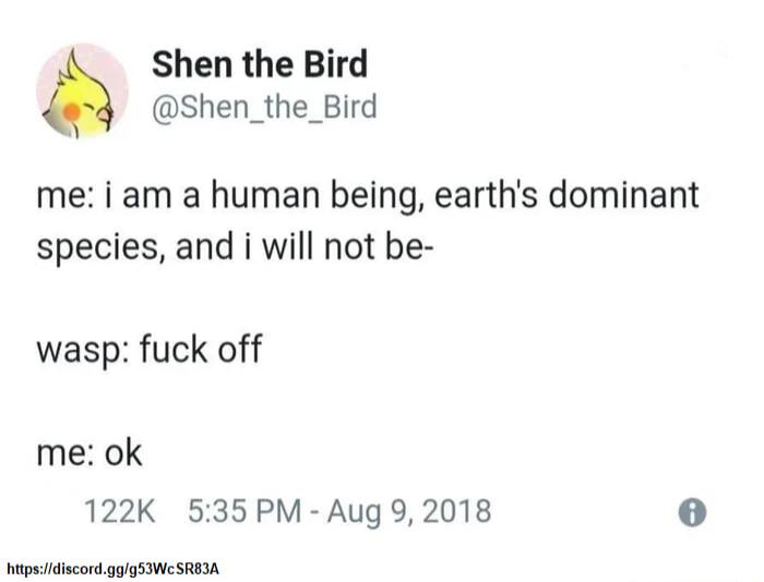 Shen the Bird Shen_the_Bird me i am a human being earths dominant species and i will not be wasp fuck off me ok 122K 535PM Aug 9 2018 tpsidiscordgglgSWe SREIA