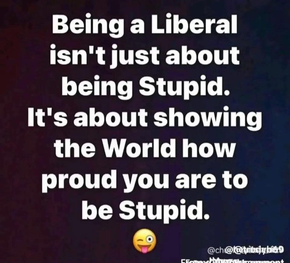 Being a Liberal isn't just about being Stupid. It's about showing the World how proud you are to be Stupid.