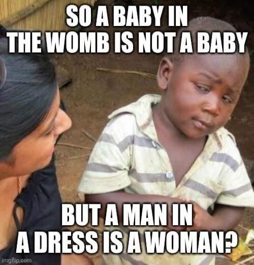 SO A BABY IN THE WOMB IS NOT A BABY BUT A MAN IN A DRESS IS A WOMAN?