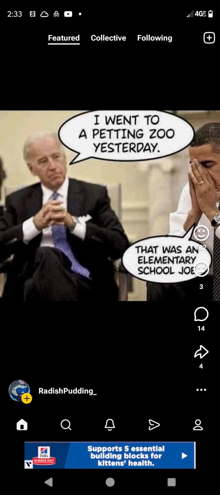 I went to a petting zoo yesterday. That was an elementary school Joe.