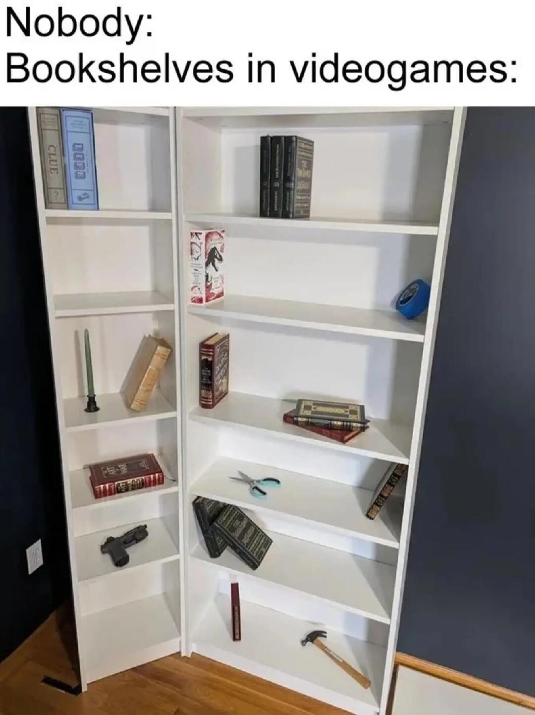 Nobody Bookshelves in videogames