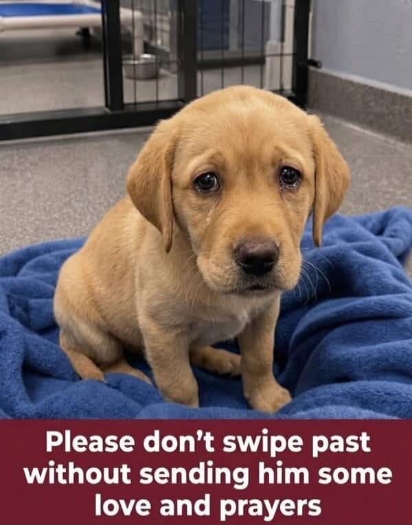 Please don't swipe past without sending him some love and prayers