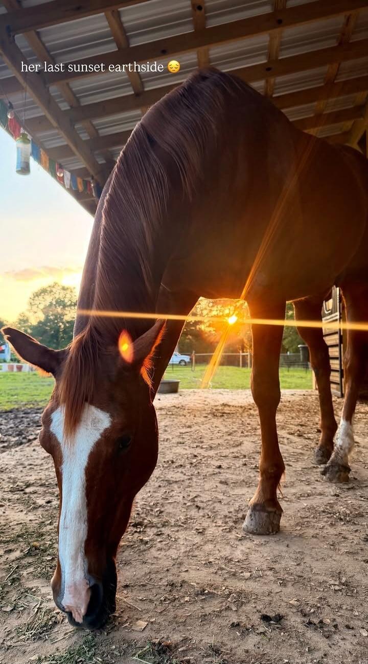 her last sunset earthside 😔