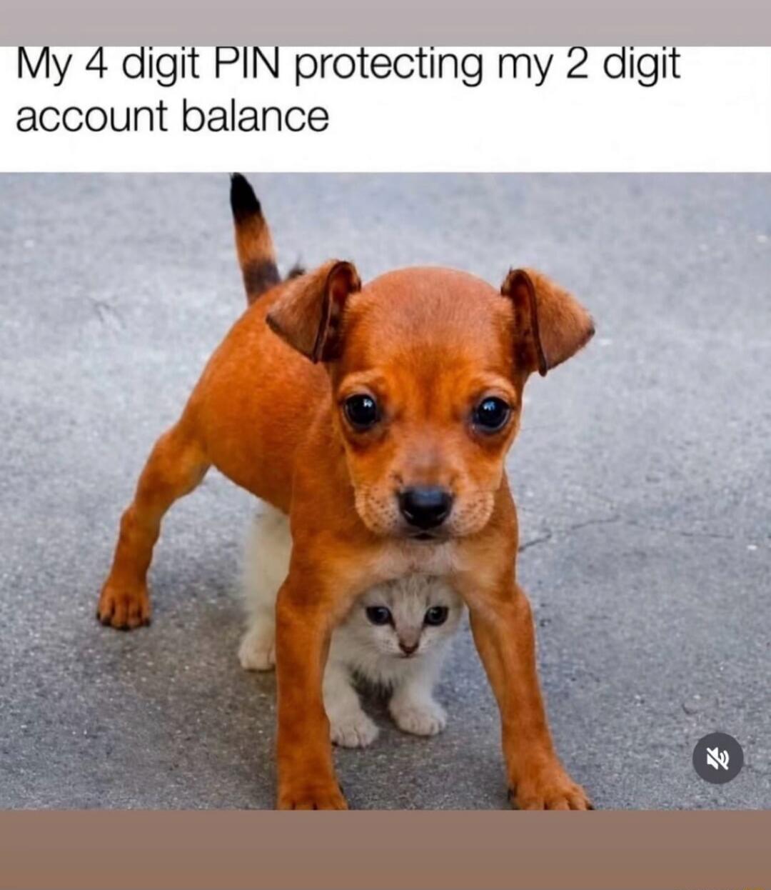 My 4 digit PIN protecting my 2 digit account balance
