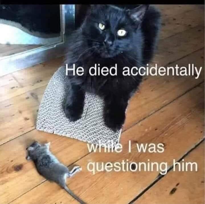 He died accidentally while I was questioning him