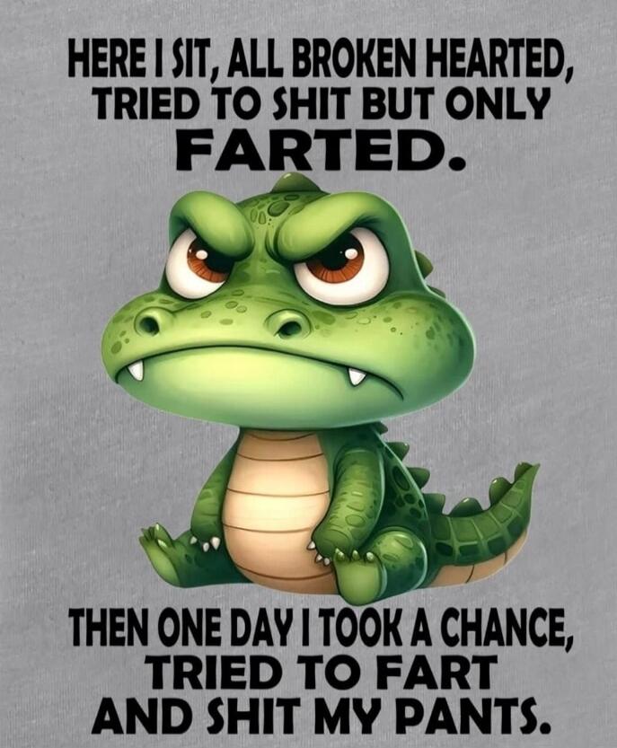 HERE I SIT, ALL BROKEN HEARTED, TRIED TO SHIT BUT ONLY FARTED. THEN ONE DAY I TOOK A CHANCE, TRIED TO FART AND SHIT MY PANTS.