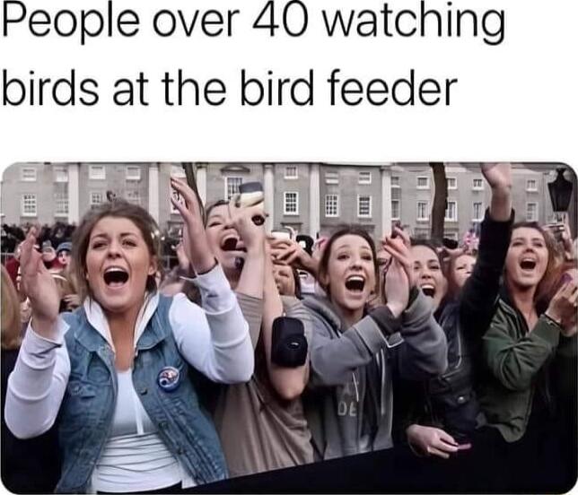 People over 40 watching birds at the bird feeder