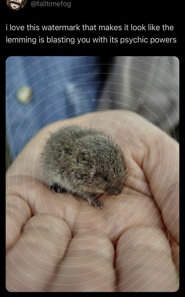 R GRNEIC B R GEITEL R G T lemming is blasting you with its psychic powers
