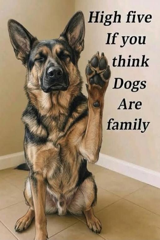 High five If you think Dogs Are family