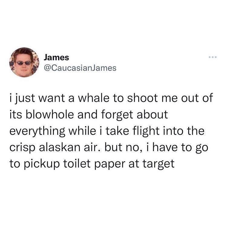 James CaucasianJames i just want a whale to shoot me out of its blowhole and forget about everything while i take flight into the crisp alaskan air but no i have to go to pickup toilet paper at target