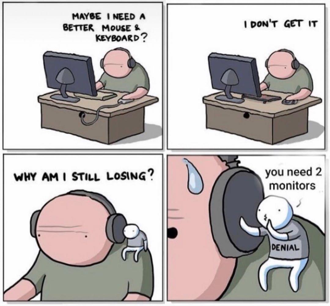 you need 2 monitors