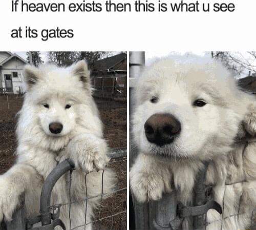 I heaven exists then this is what u see atits gates