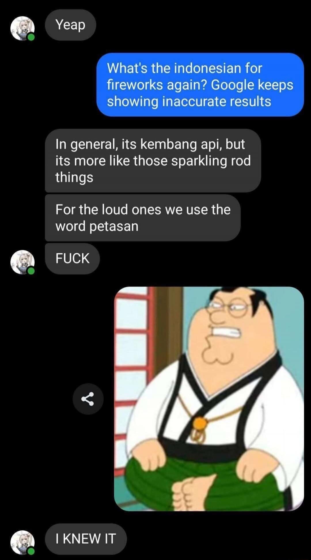 Yeap. What's the indonesian for fireworks again? Google keeps showing inaccurate results. In general, its kembang api, but its more like those sparkling rod things. For the loud ones we use the word petasan. FUCK. (image) I KNEW IT