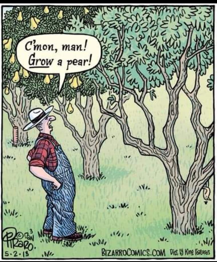 Cmon man A Grow a pear SR s BIZARROCOMICSCOM Diet Kin s