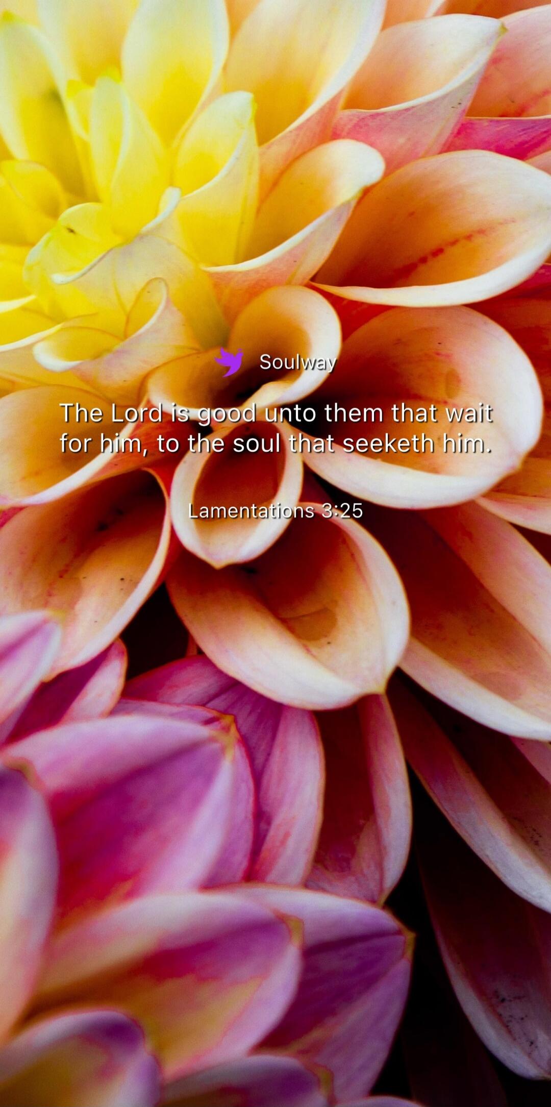 Soulway. The Lord is good unto them that wait for him, to the soul that seeketh him. Lamentations 3:25
