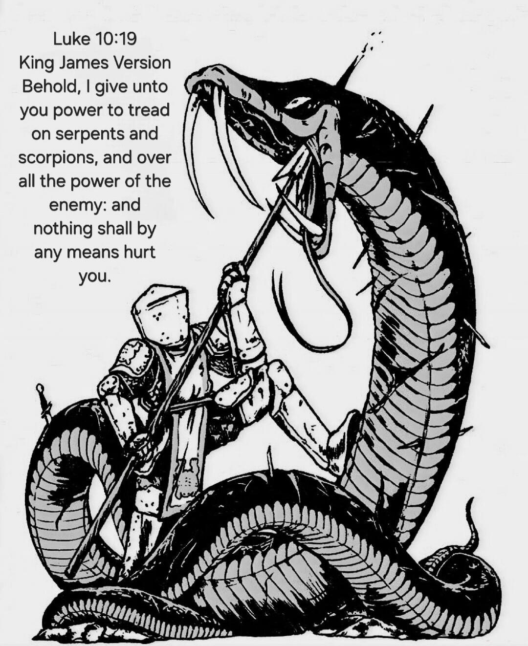 Luke 10:19 King James Version Behold, I give unto you power to tread on serpents and scorpions, and over all the power of the enemy: and nothing shall by any means hurt you.