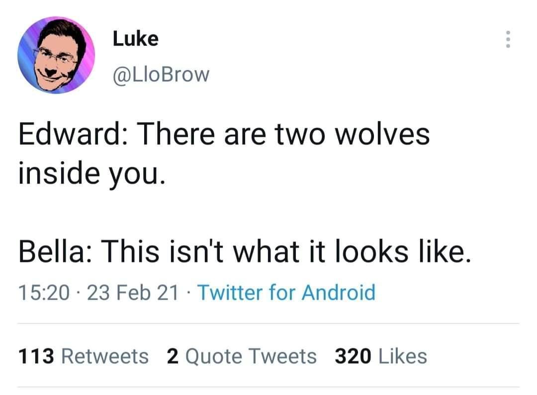 Luke LloBrow Edward There are two wolves inside you Bella This isnt what it looks like 1520 23 Feb 21 Twitter for Android 113 Retweets 2 Quote Tweets 320 Likes